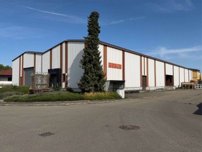 Hauptbild Große Erdgeschoss-Lagerhallenfläche in Erbach zu vermieten!